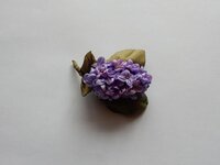 2016-02-01 12-47-52.jpg