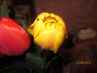 Изображение 2595.jpg