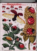 много разных.jpg