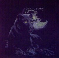 пантерка ).jpg