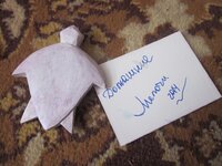 Изображение 1603.jpg