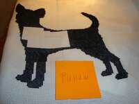 чишка финиш.jpg