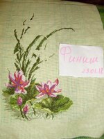 ФИНИШ 29.01.12.jpg