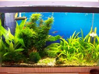 Изображение 130.jpg