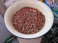 Изображение 1293.jpg