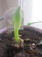 Изображение 864.jpg