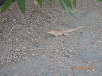 отдых 2014 май 855.jpg