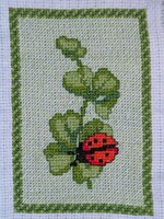 Божья коровка 4.jpg