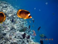 отдых 2014 май 804.jpg