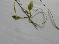 2017-06-01 14-27-24.jpg