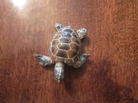 Изображение 1739.jpg