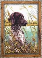 риолис_охотничья собака.jpg