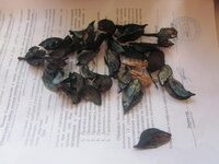 Изображение 2875.jpg