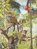 ecx51320 Водопад на Амазонке.jpg