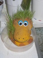 Изображение 053.jpg