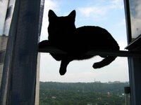 с камеры 070.jpg