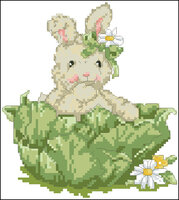 зайчик в капусте.jpg