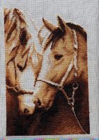 преданность 7.11.2011.jpg