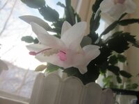 Изображение 253.jpg