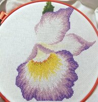 Изображение 287936.jpg