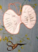 Ракушка с иголками.jpg