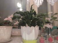 Изображение 289.jpg