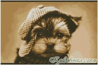 Проказник Любови Ющук (РМ).jpg