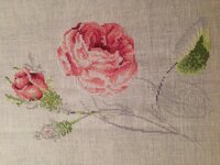 2014-11-14 01-31-58.jpg