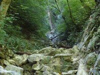 Свирское 12 (3).jpg