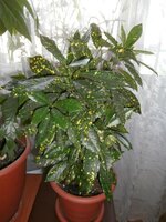 Изображение 020.jpg