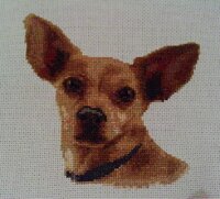 Копия IMAG2366.jpg