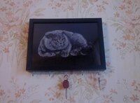 Изображение 780.jpg