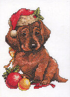 JCA 03338_Hush_Puppy.jpg