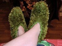 CIMG1080 (1024x768).jpg