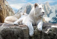 lord of the mountains.JPG