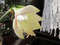 Изображение 879.jpg