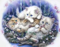 Outdoor Adventure.jpg