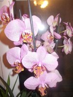 Изображение 023.jpg