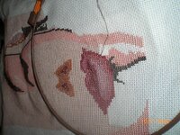 Изображение 288.jpg