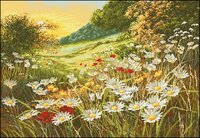 Anchor APC936 Evening Sun.jpg