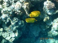 отдых 2014 май 657.jpg