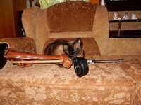 2015-09-12 11-44-06.jpg