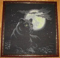 Риолис Полнолуние.jpg