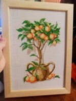 Апельсиновое дерево.jpg