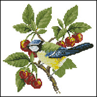 Heritage DMBT375 Blue Tit.jpg