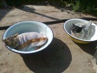 Купание 02.08.12 (3).jpg