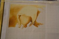 мандаринка 3.jpg