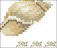 ракушка просто.jpg