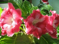 Изображение 134.jpg