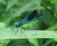 Изображение 112f.jpg